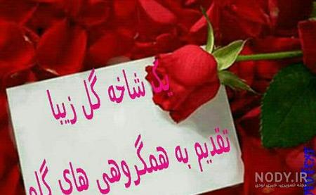 استیکر واتساپ برای مدیر گروه استیکر واتساپ برای مدیر گروه