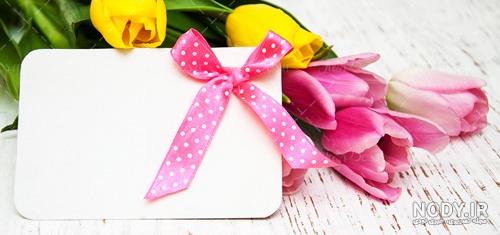 تصویر پروفایل معلم تصویر پروفایل معلم
