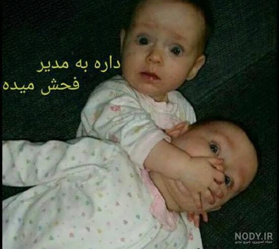 تقدیم به مدیر گروه