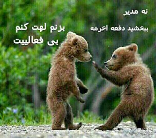 تقدیم به مدیر گروه تقدیم به مدیر گروه