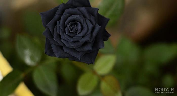 جعبه گل ترحیم