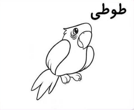 ساخت کلمه با ط