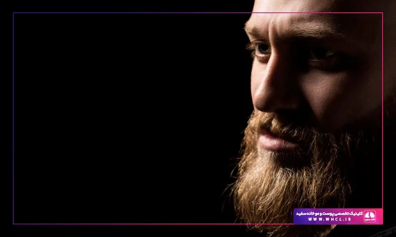 سلیقه اعضای بی تی اس سلیقه اعضای بی تی اس