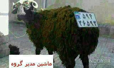 عکس خنده دار برای گروه دخترونه عکس خنده دار برای گروه دخترونه