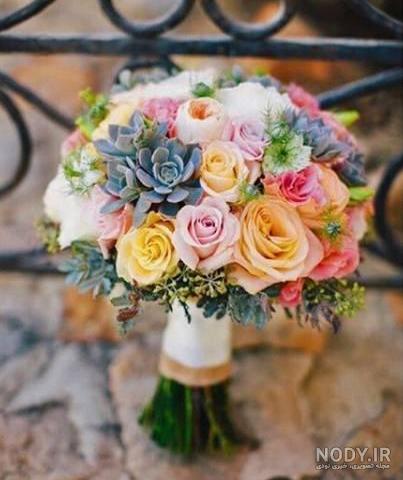عکس دسته رنگی عکس دسته رنگی