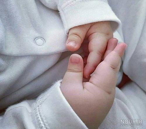 عکس دسته نی نی