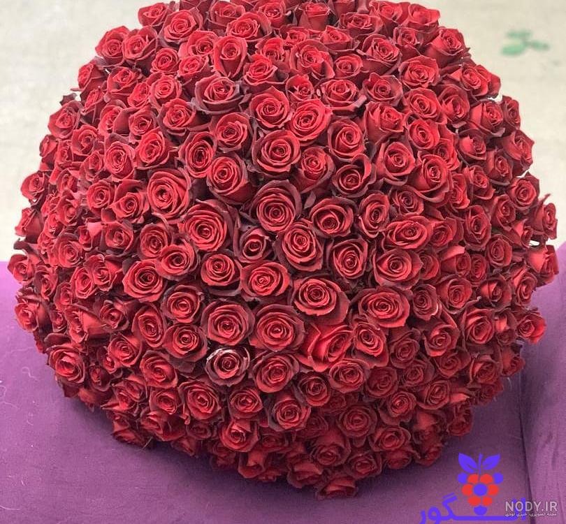 عکس دسته گل رز قرمز عروس