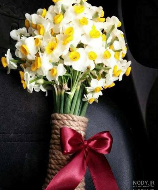 عکس دسته گل نرگس