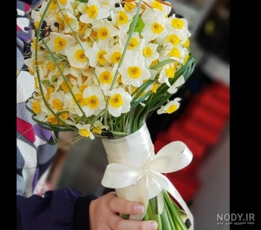 عکس دسته گل نرگس برای پروفایل