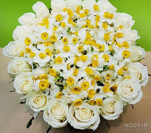 عکس دسته گل نرگس بزرگ