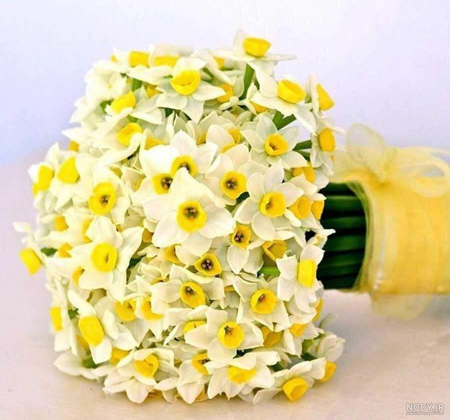 عکس دسته گل نرگس زیبا