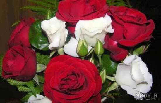 عکس دسته گلهای بسیار زیبا عکس دسته گلهای بسیار زیبا