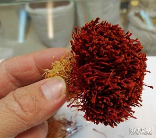 عکس زعفران کوهی