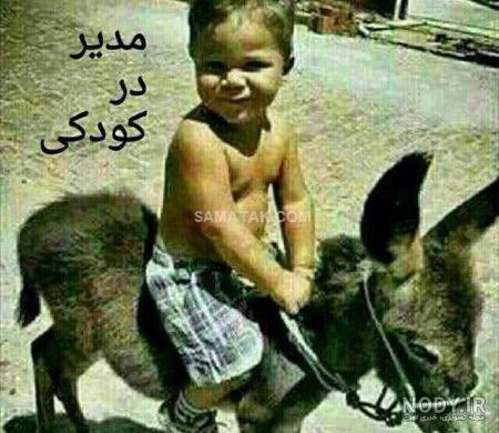 عکس های مدیر گروه خنده دار عکس های مدیر گروه خنده دار
