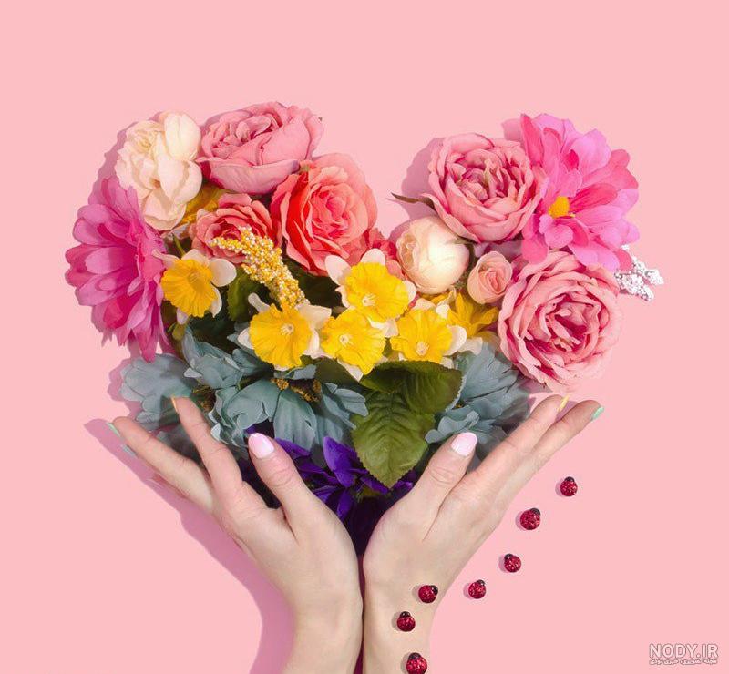 عکس گل زیبا