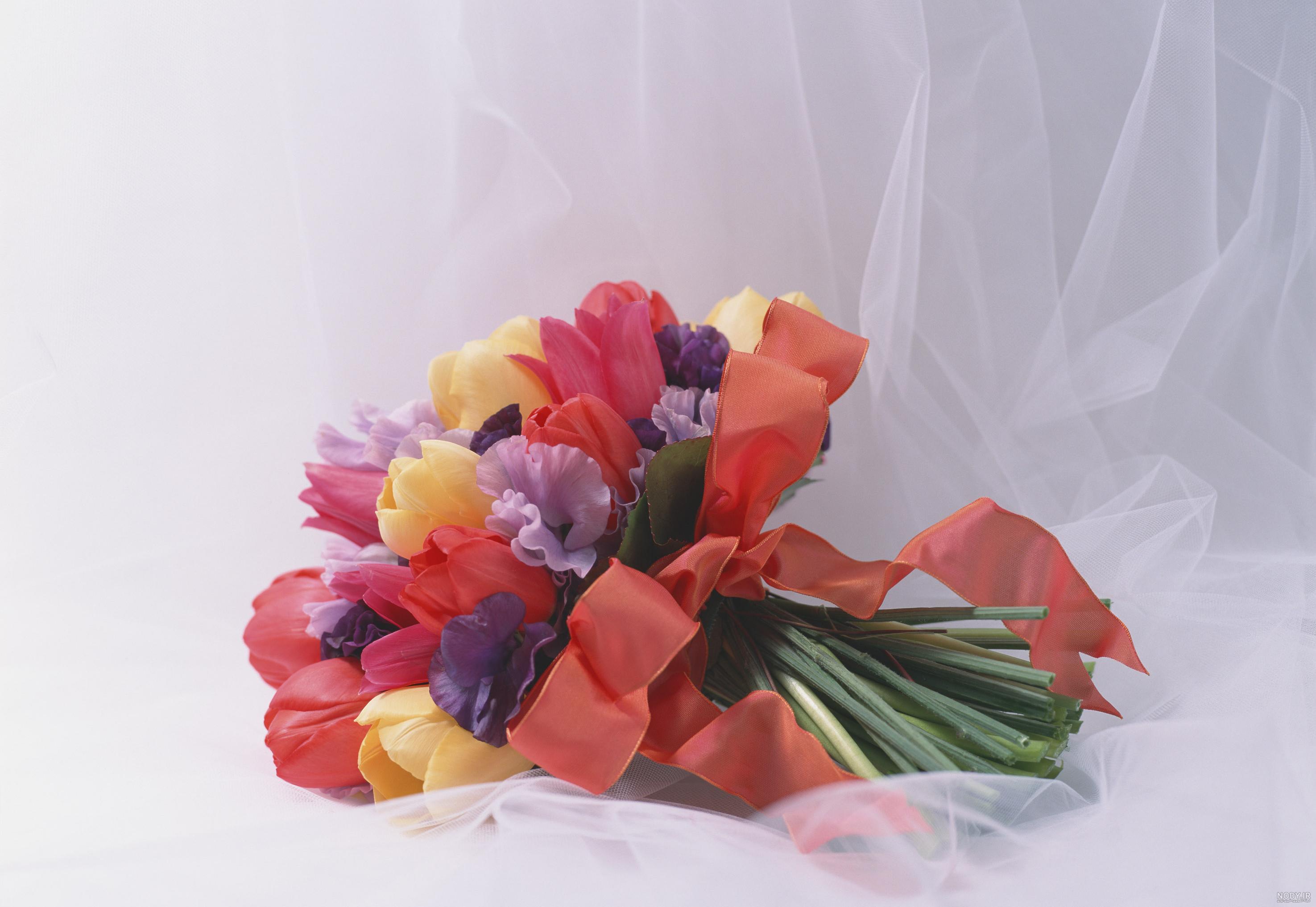 عکس گل نوشته دار