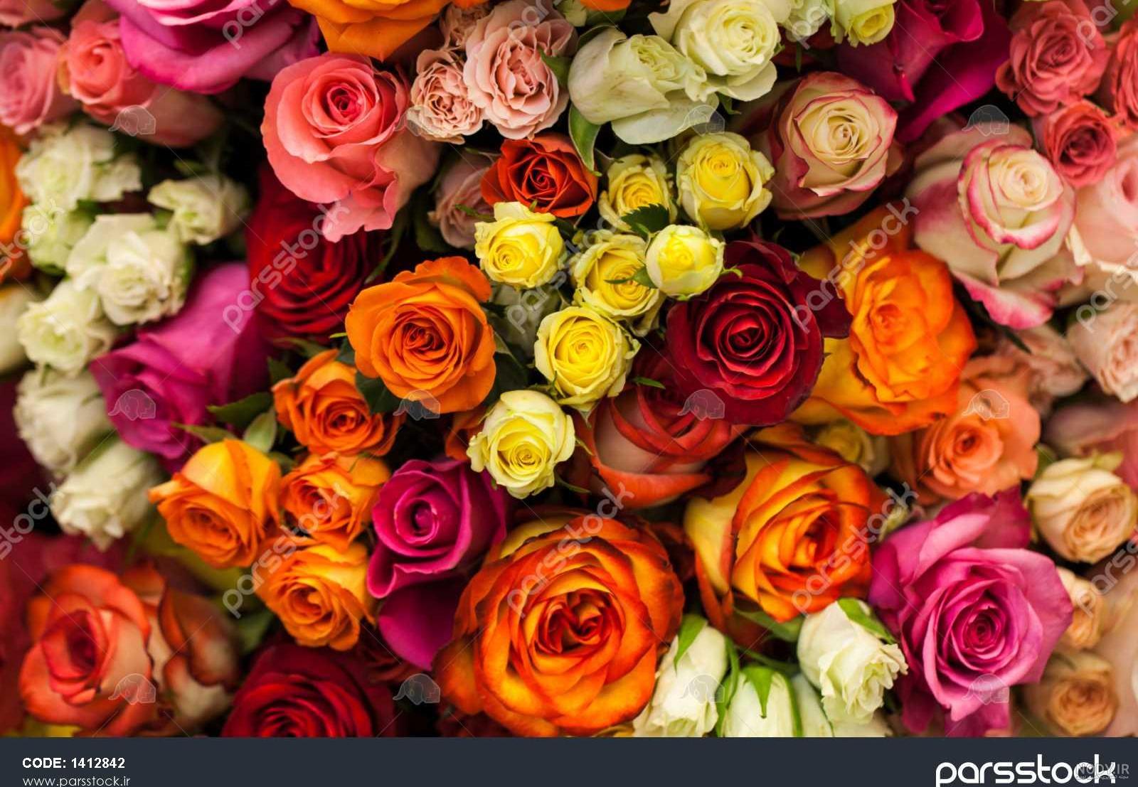 عکس گل های عاشقانه
