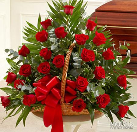 عکس گلهای بسیار زیبای جهان