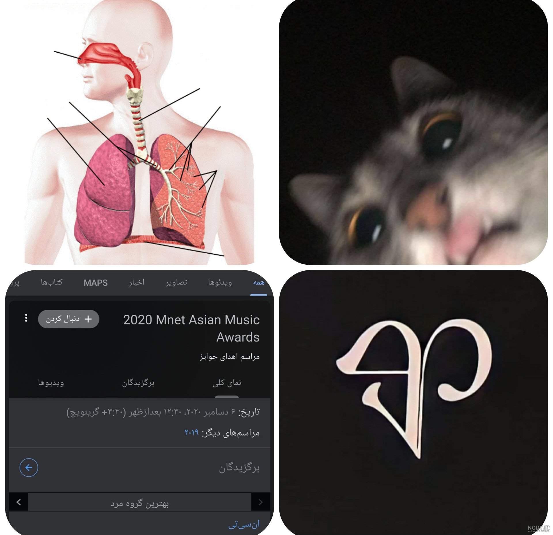 لوگوی جدید بلک پینک لوگوی جدید بلک پینک