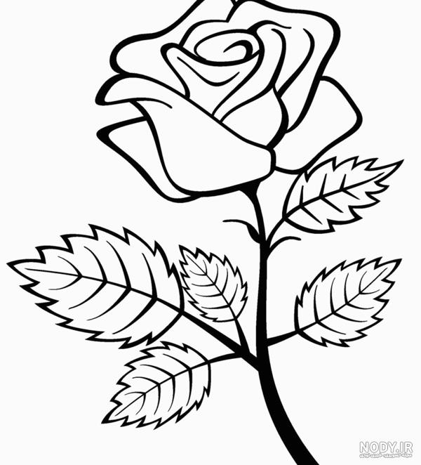 نقاشی گل زیبا