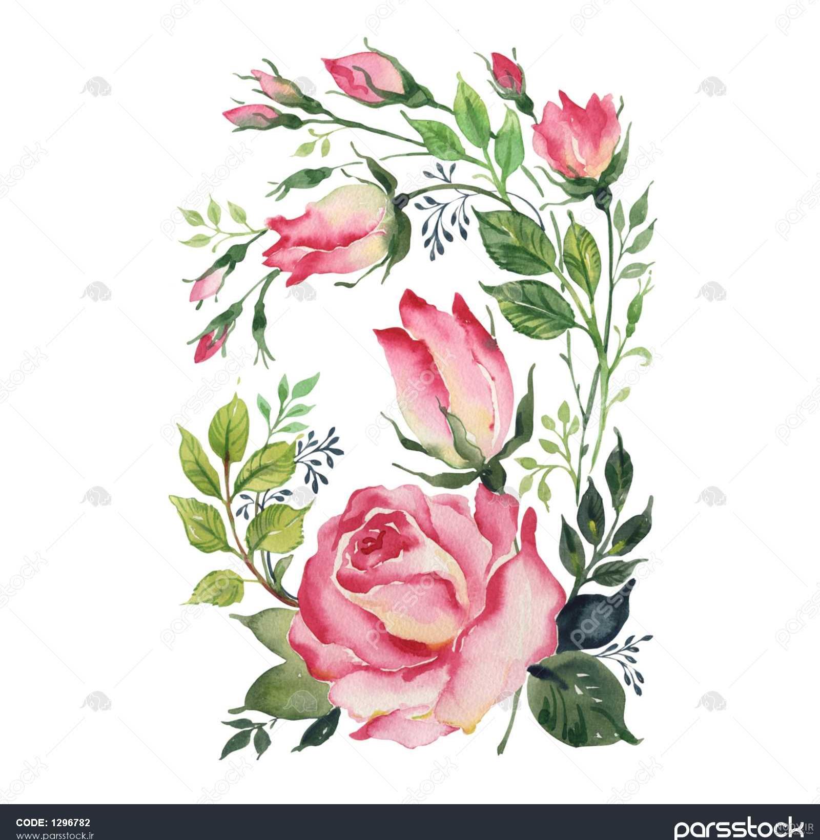 نقاشی گل یاس