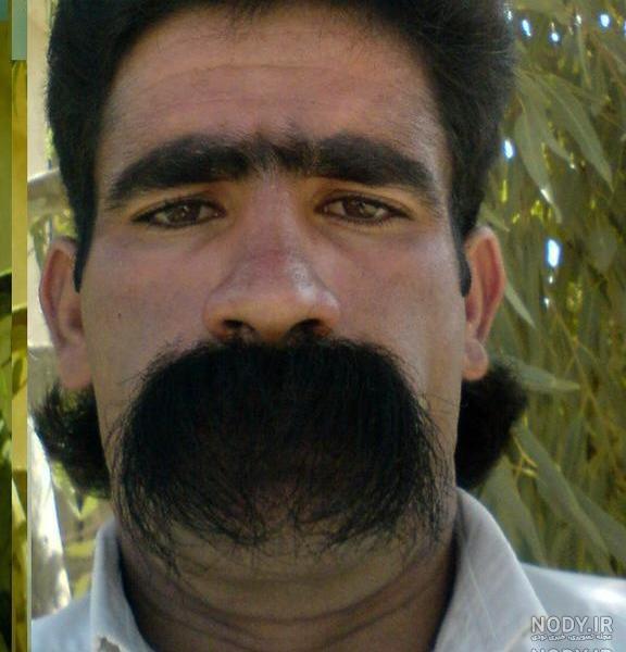 پسر ممد قلی پسر ممد قلی