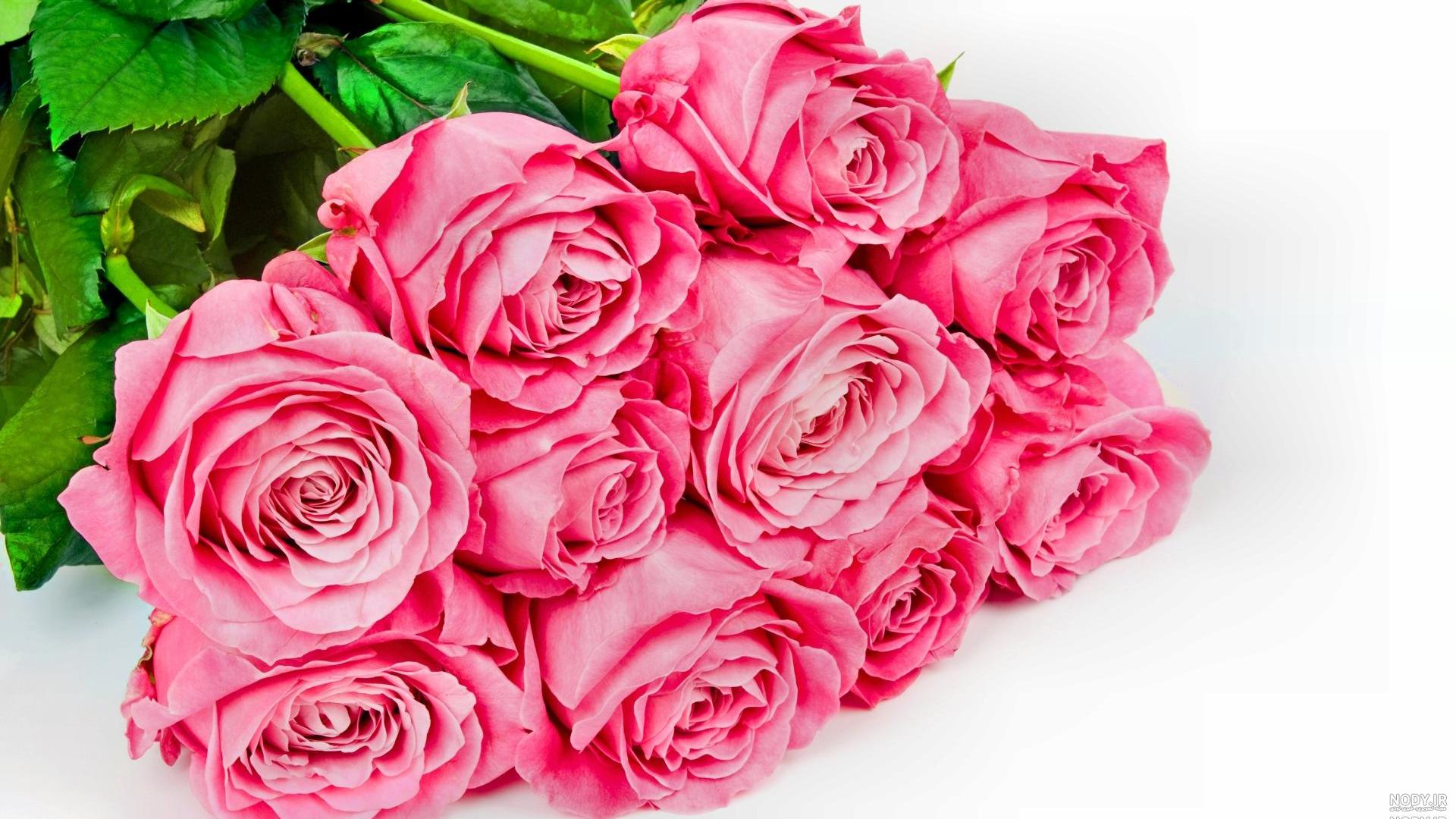 یک دسته گل زیبا یک دسته گل زیبا