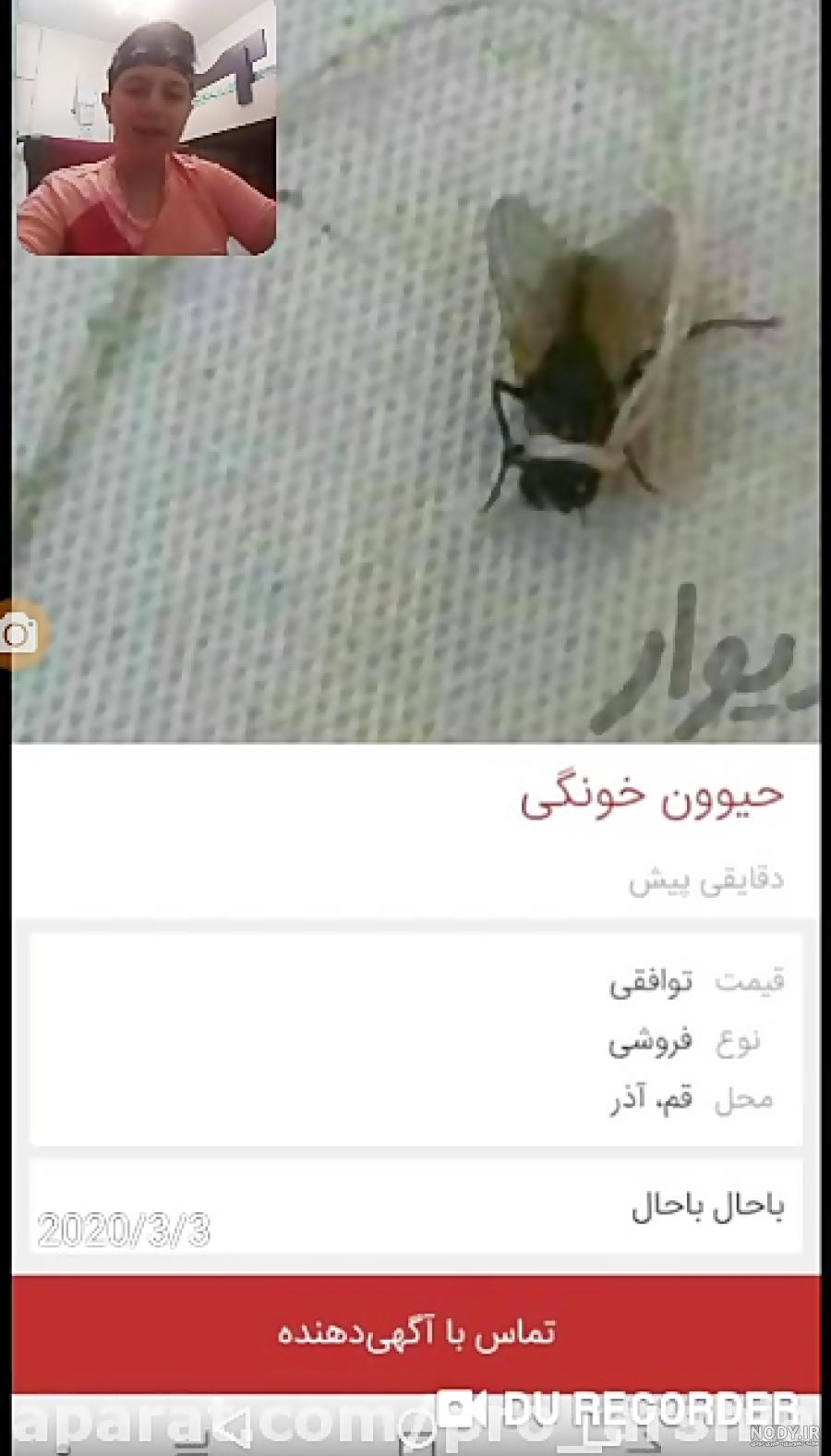سوتی آگهی دیوار سوتی آگهی دیوار