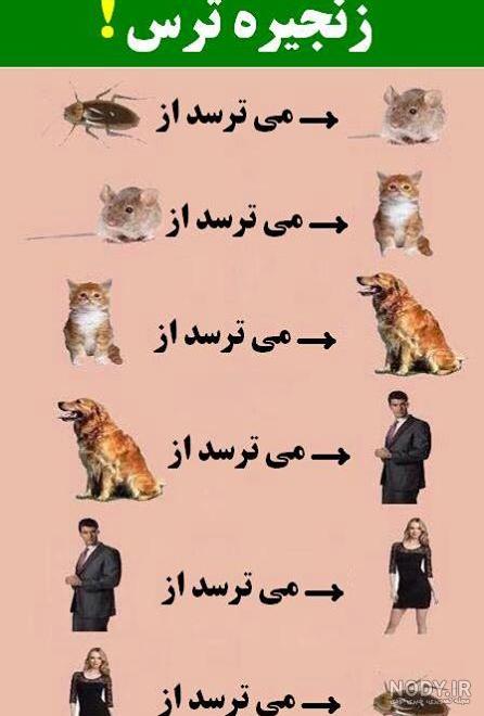سوتی کوتاه