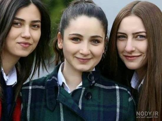 عکس سوگول غنچه های زخمی عکس سوگول غنچه های زخمی