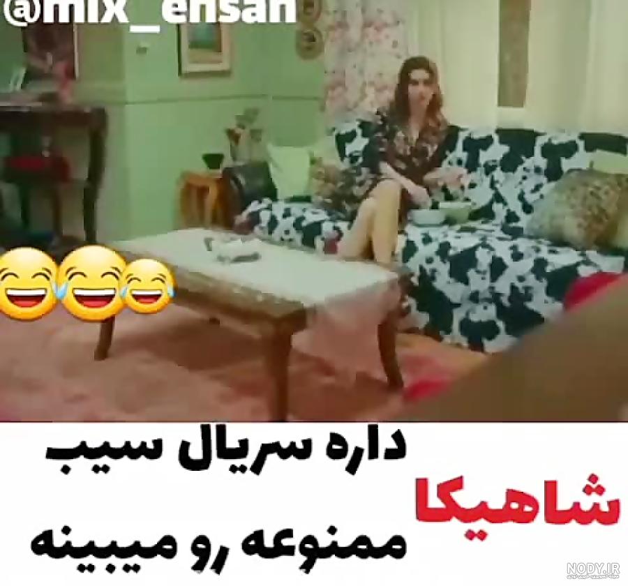 عکس فیلم خنده دار گربه عکس فیلم خنده دار گربه