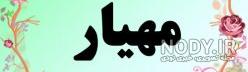 عکس محیا عکس محیا