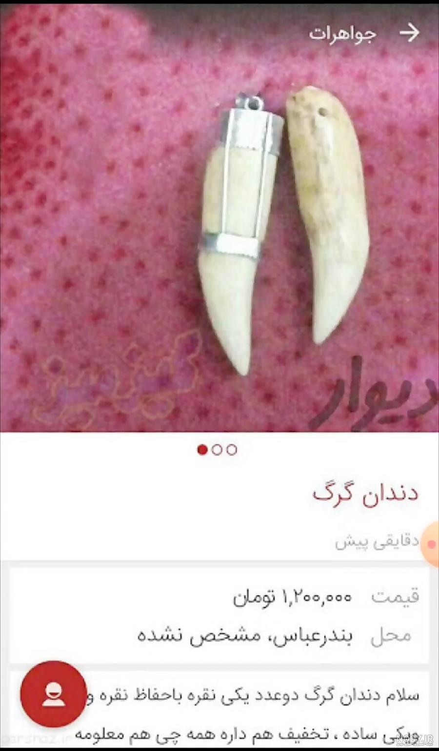 کیودی پای اگهی دیوار کیودی پای اگهی دیوار
