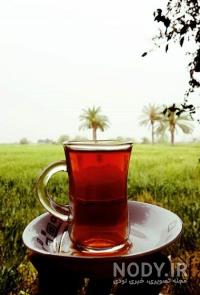 Tabiatgardi