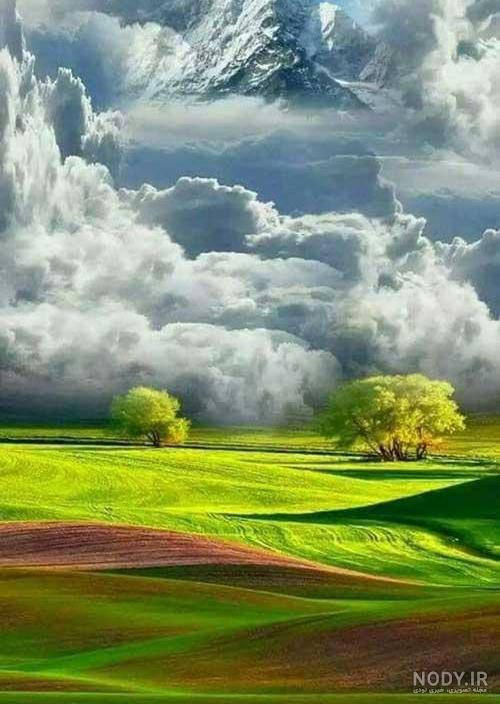 حس ناب طبیعت حس ناب طبیعت