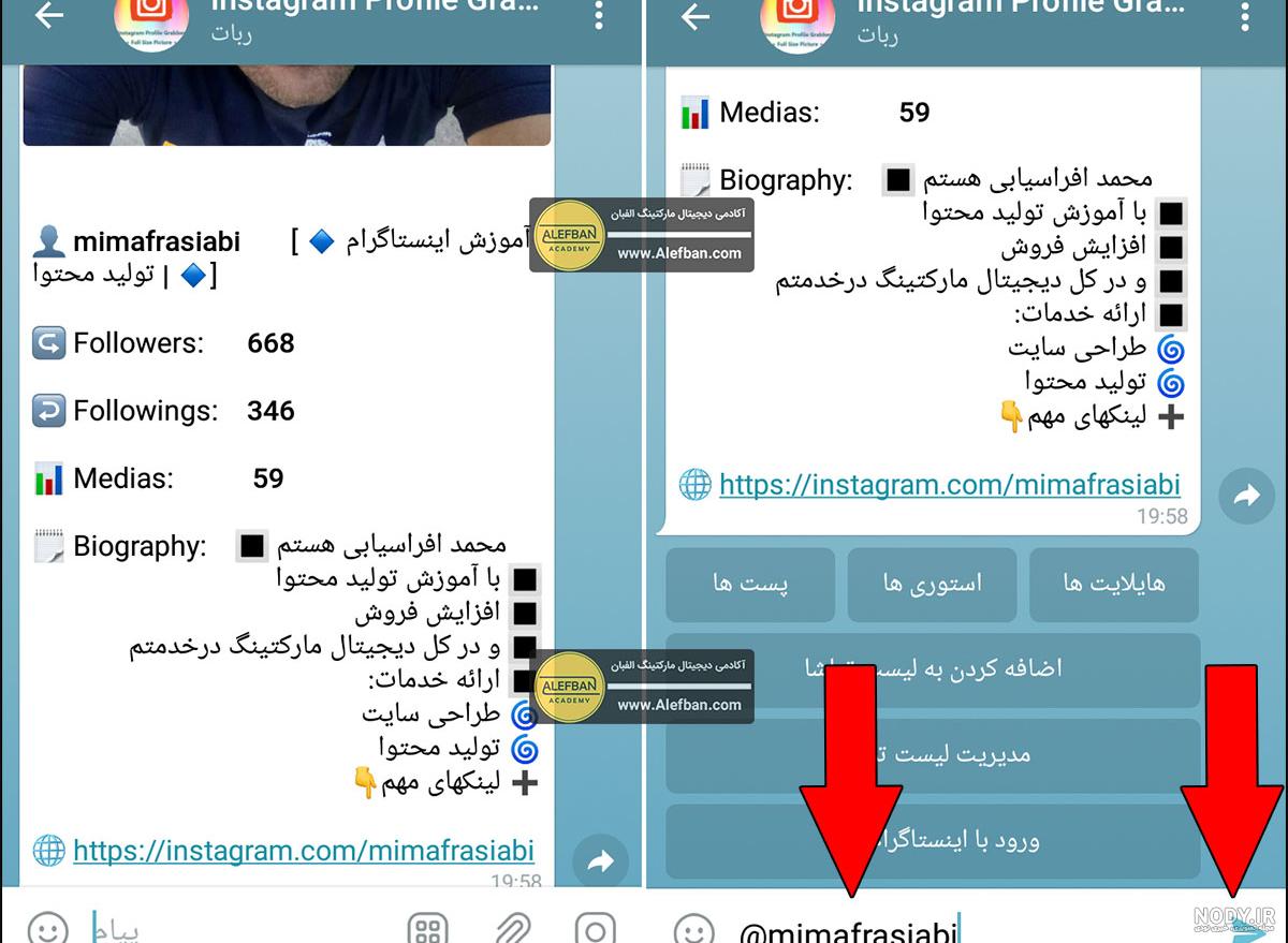 ربات اینستا پروفایل ربات اینستا پروفایل