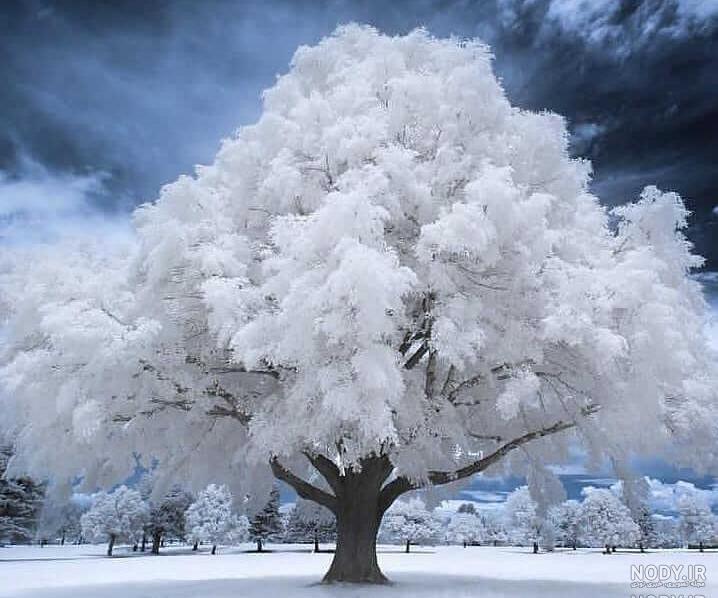 پروفایل زمستانی غمگین