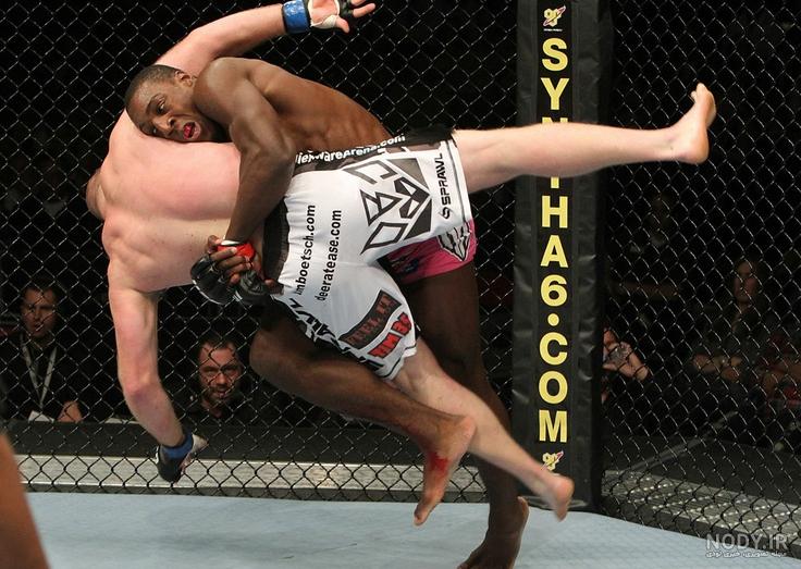 mma champion mma champion