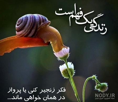 بهترین عکس پروفایل واتساپ بهترین عکس پروفایل واتساپ