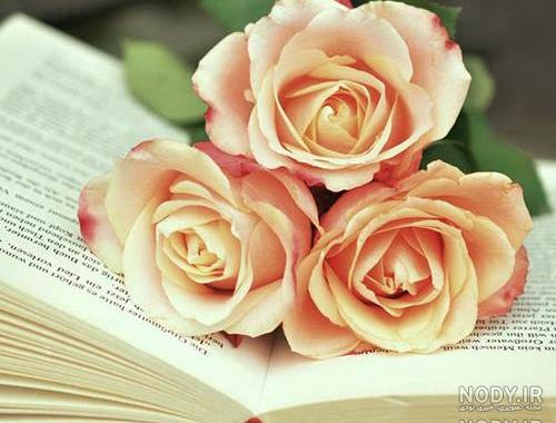 عکس برای وضعیت واتساپ غمگین