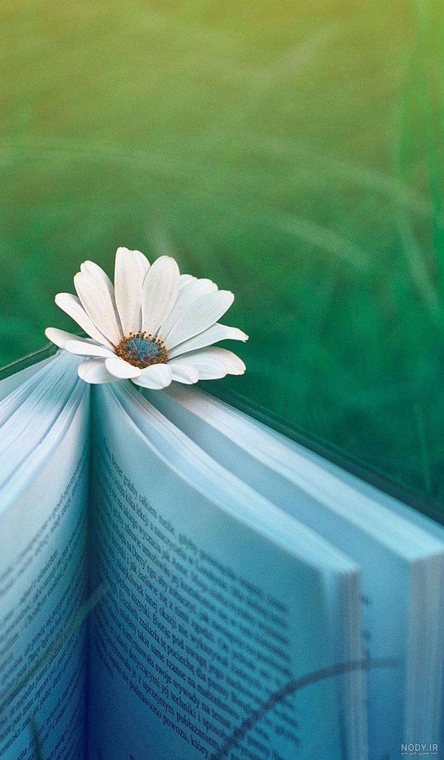 عکس برای کاغذ دیواری واتساپ تیره