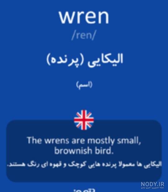 عکس های wren