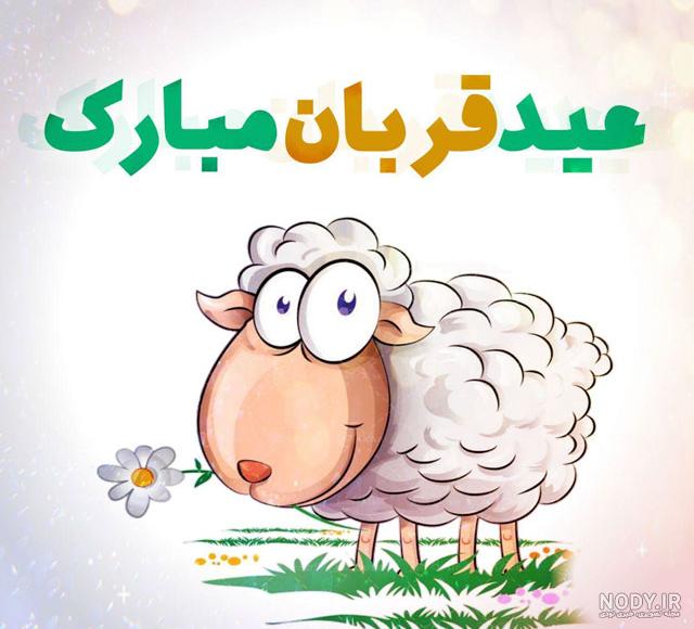 عکس های عید قربان جدید عکس های عید قربان جدید