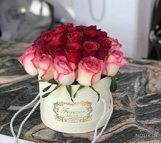 عکس گلهای بسیار زیبای جهان عکس گلهای بسیار زیبای جهان