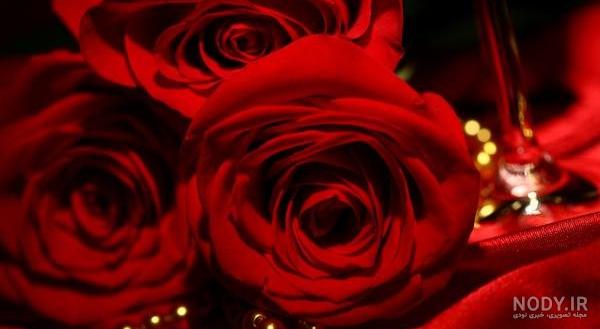 عکس گلهای بسیار زیبای جهان برای پروفایل عکس گلهای بسیار زیبای جهان برای پروفایل