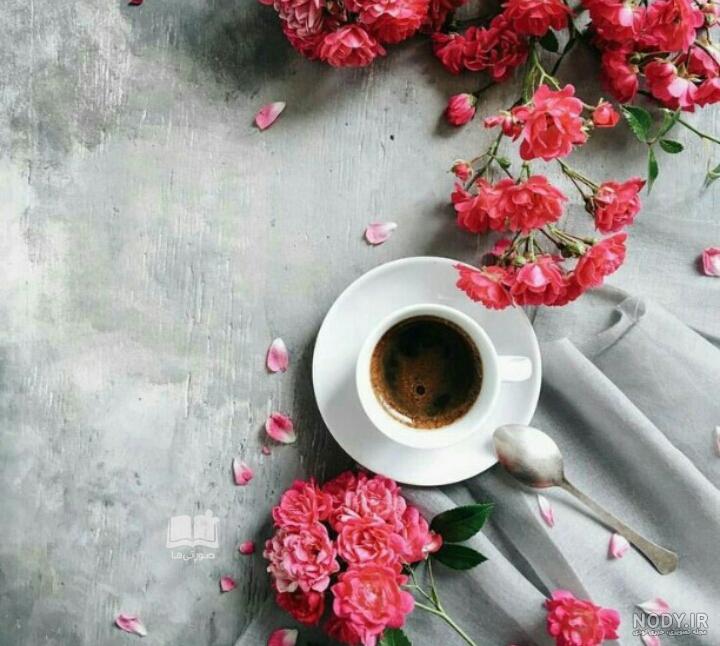 عکسهای بسیار زیبا عکسهای بسیار زیبا