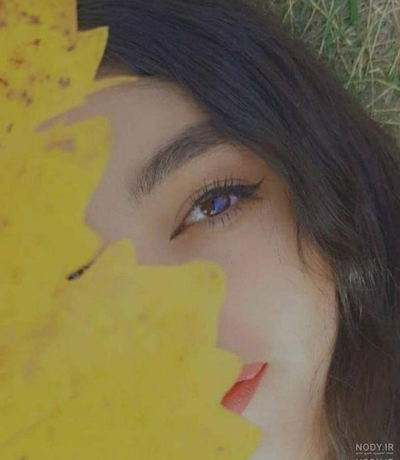 چگونه عکس پروفایل اینستاگرام دیگران را ببینیم