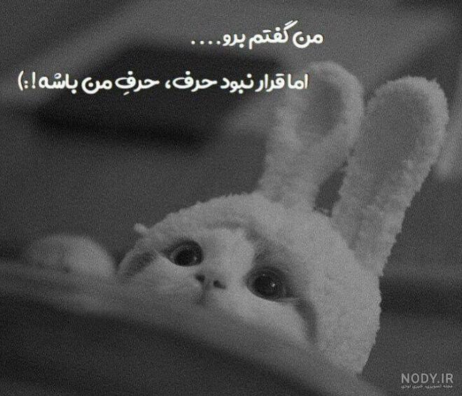 پروف طوسی دخترانه