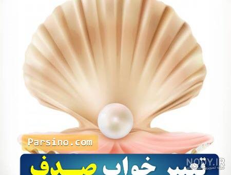 صدف دریایی چگونه تشکیل میشود صدف دریایی چگونه تشکیل میشود
