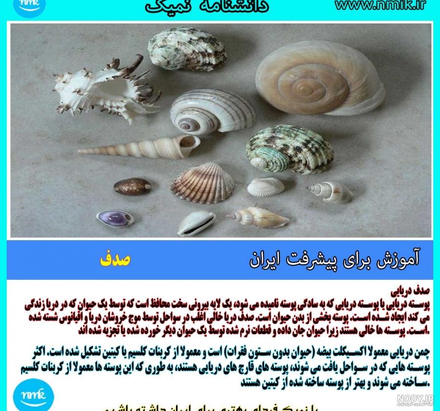 طبقه بندی صدف ها طرح جابر طبقه بندی صدف ها طرح جابر